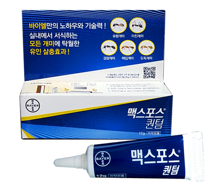 퀀텀낱개